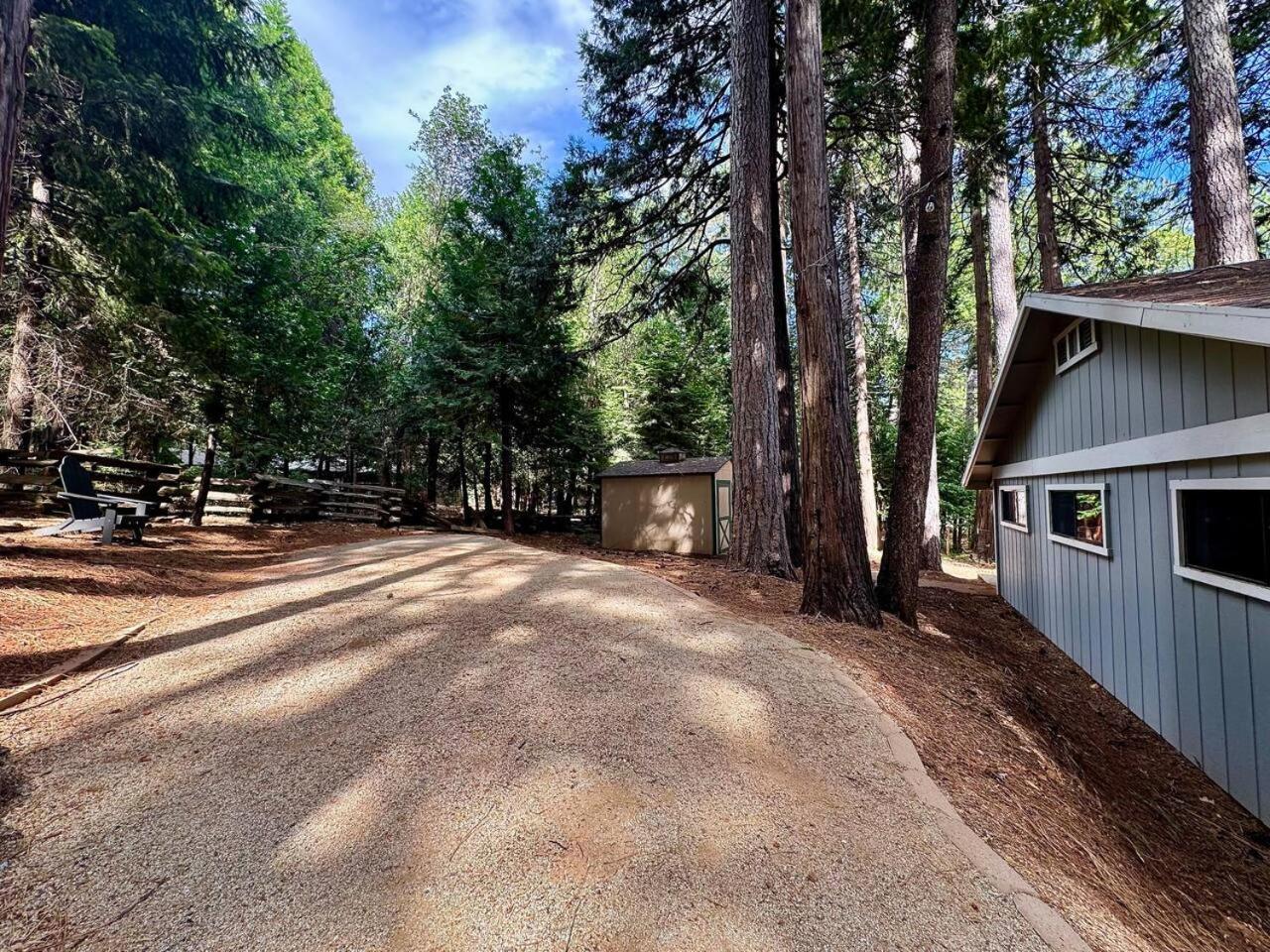 Cabin In The Trees-Game Room Pollock Pines Exterior photo